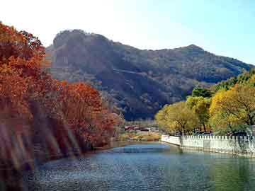 管家婆黑白马报图库，雅迪燃油助力车